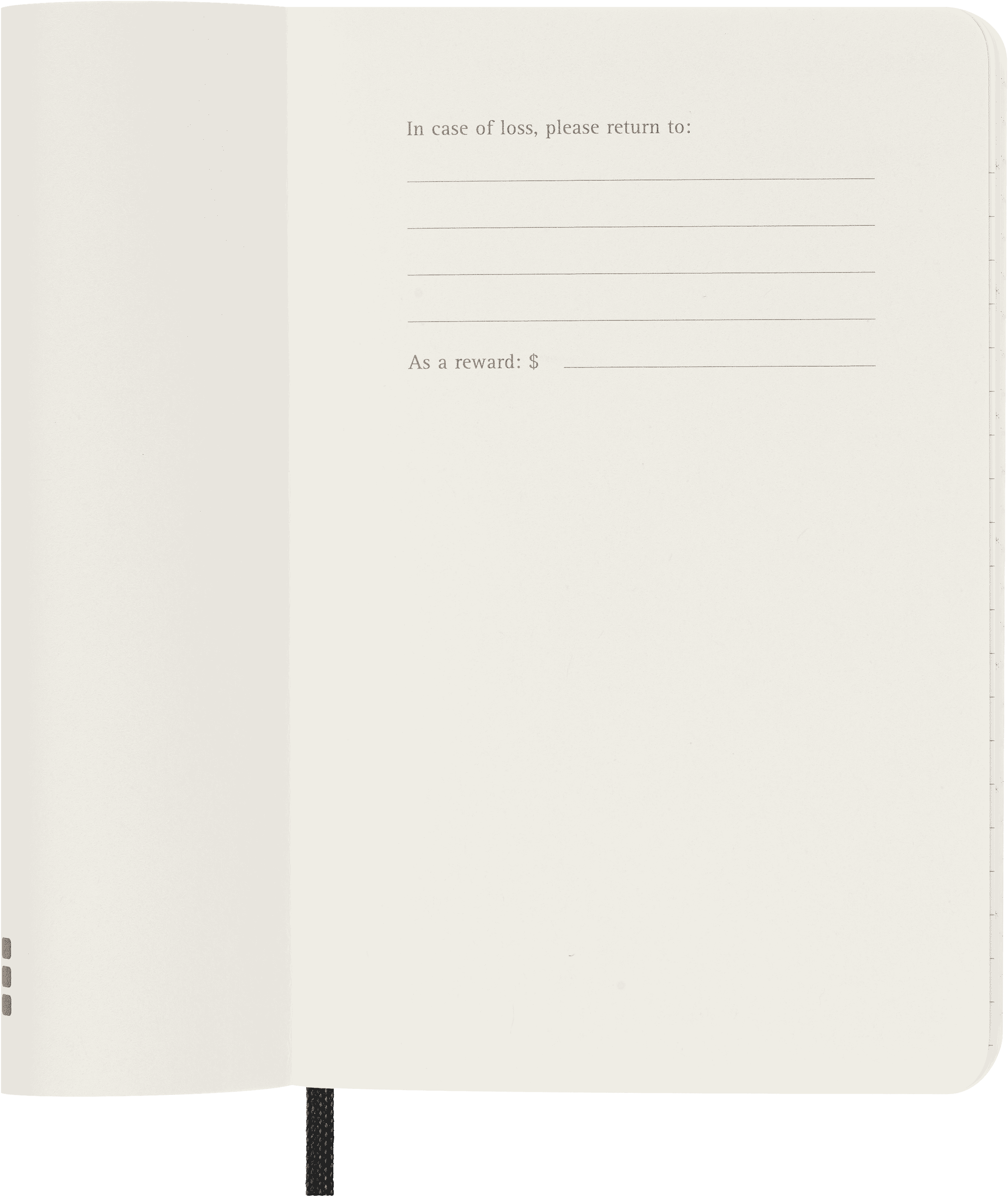 Classic Planner 2025 Pocket Weekly horizontal, soft cover, 12 months