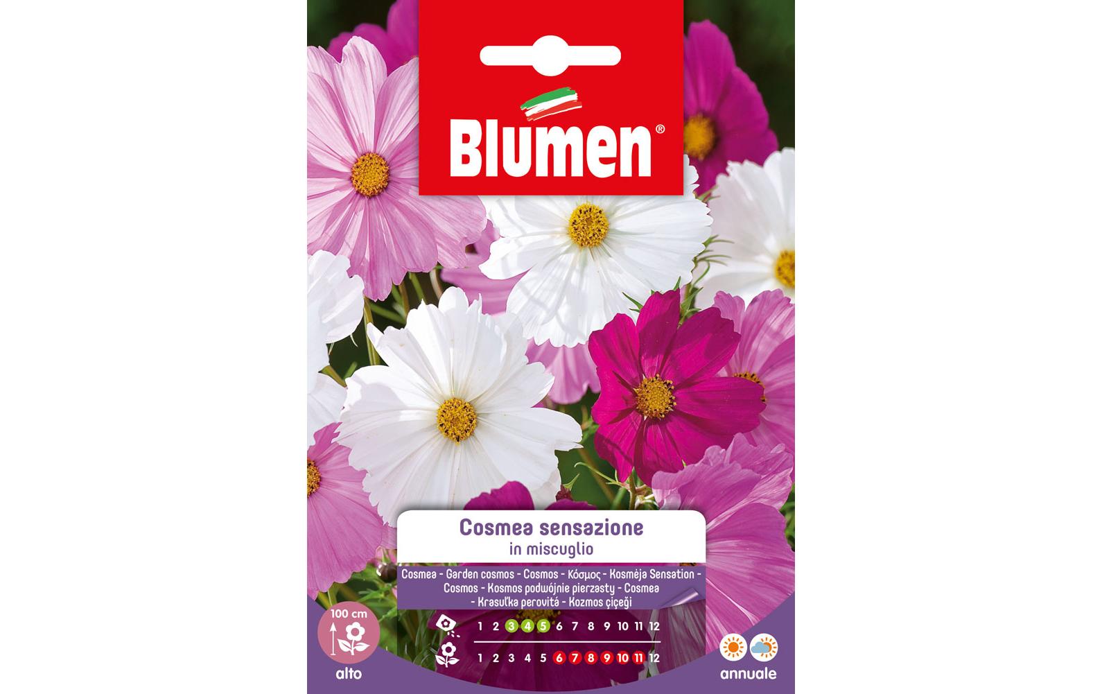 Saatgut Cosmea Sensazione MixBlumensamen
