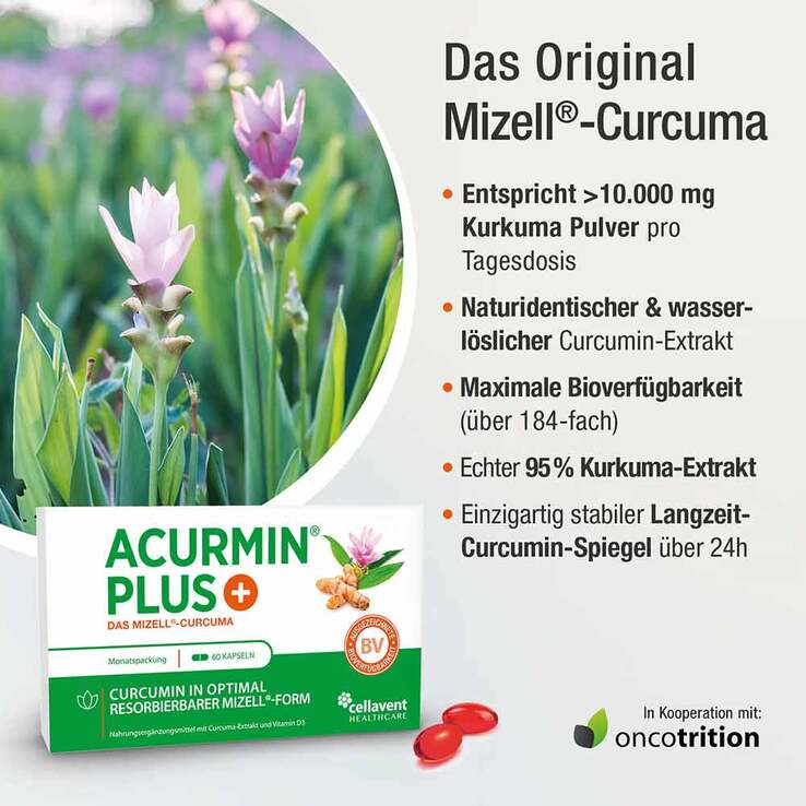 Acurmin Plus Das Mizell-Curcuma Weichkapseln, 60 St