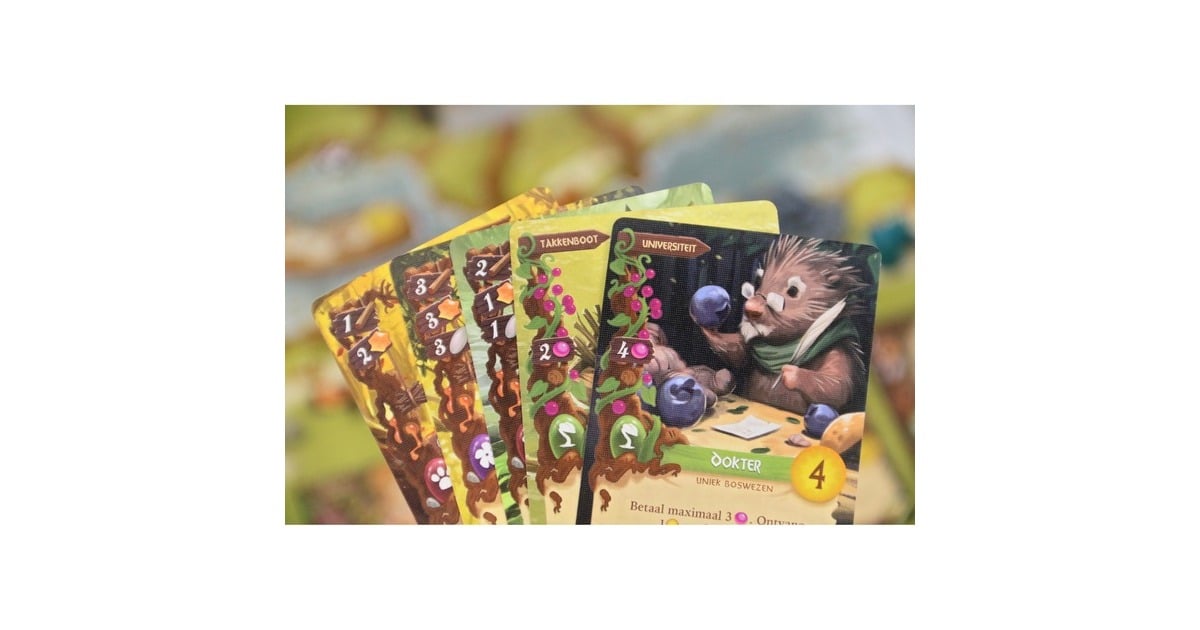 White Goblin GamesEverdell Bordspel  (Nederlands, 1 - 4 spelers, 40 minuten, Vanaf 10 jaar)