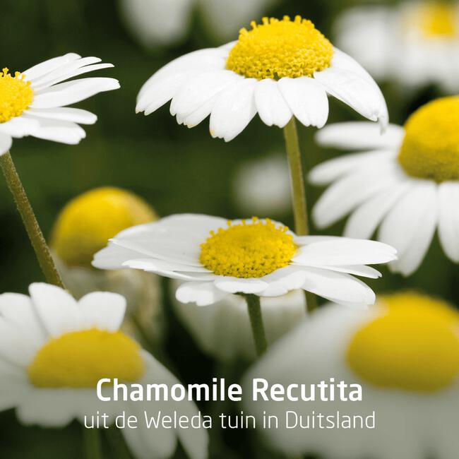 Weleda Planten Tandpasta
