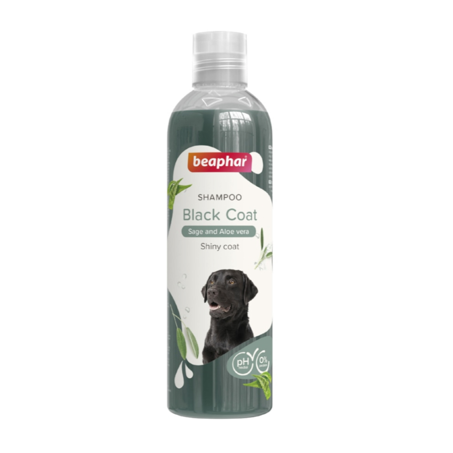 Shampoo Beaphar Black Hair para cães