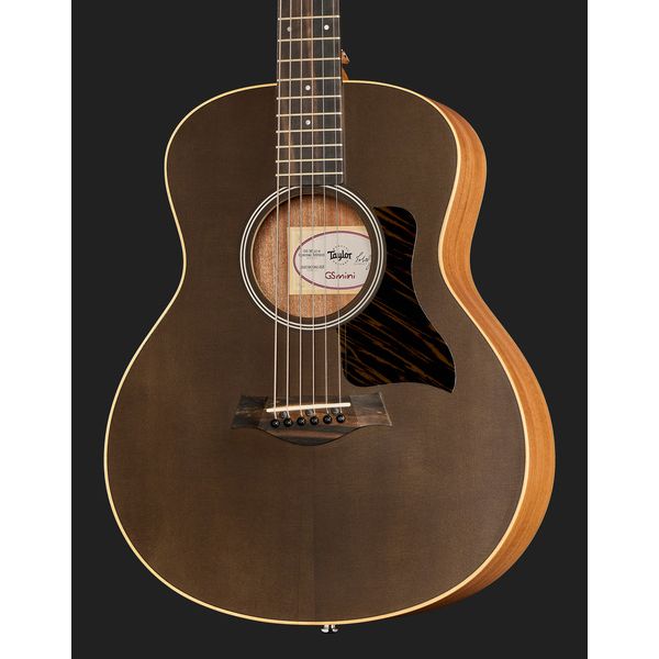 Taylor GS Mini-e Special Edition TBK