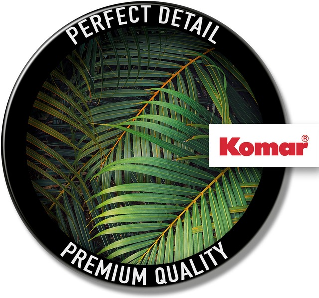 Komar Fototapete »Digitaldruck Vlies -  Amazon Fern - Grösse 400 x 250 cm« bedruckt glatt Wohnzimmer, Schlafzimmer