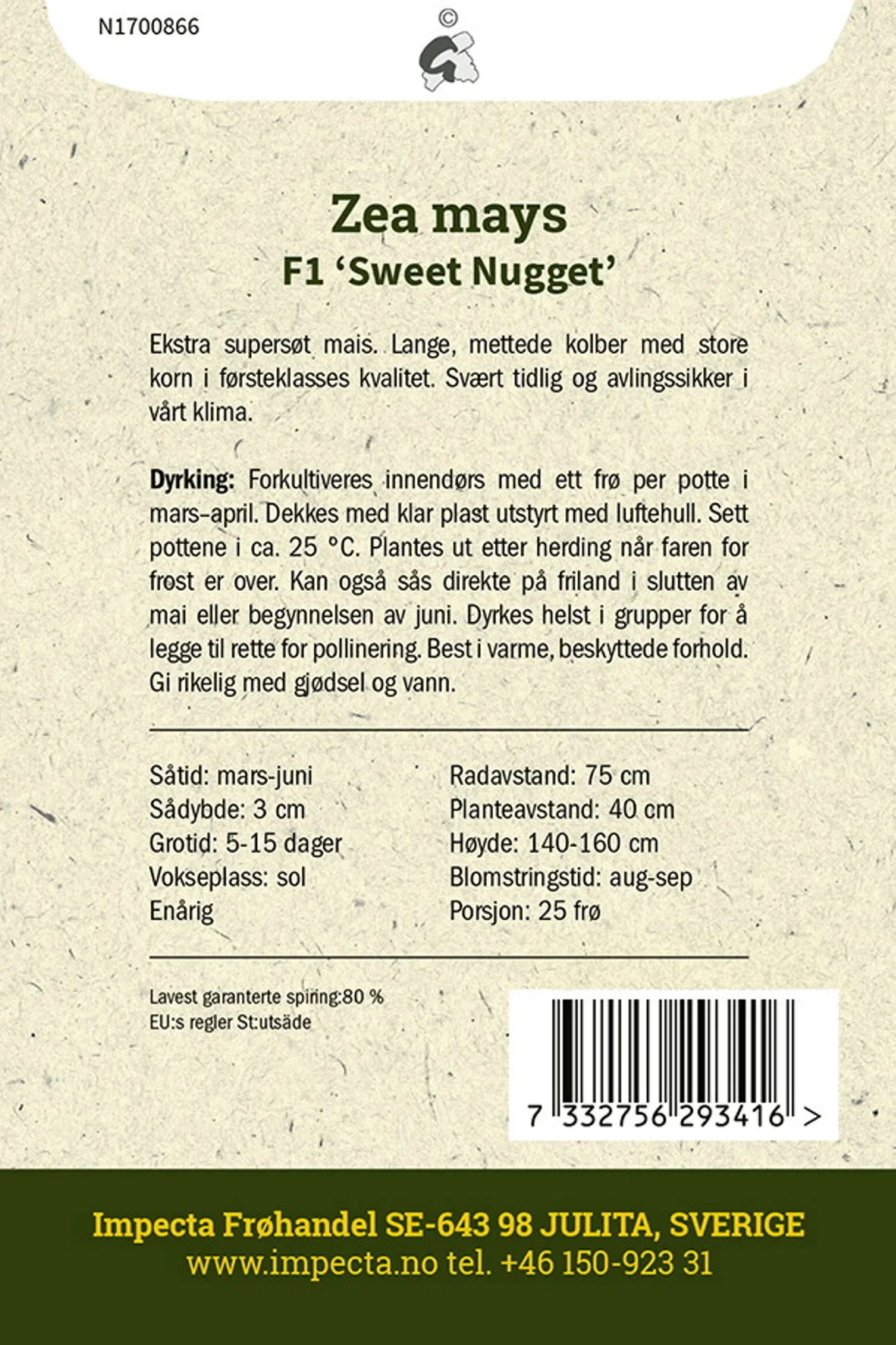 Zea mays F1 'Sweet Nugget' Mais F1 'Sweet Nugget'