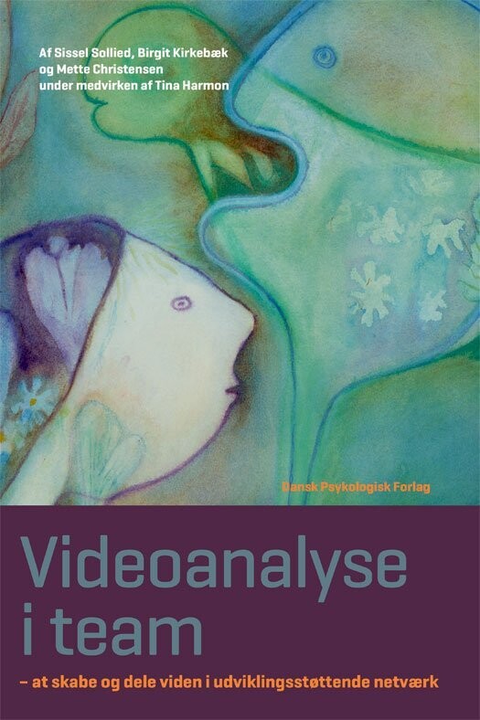 Videoanalyse I Team - Birgit Kirkebæk - Bog