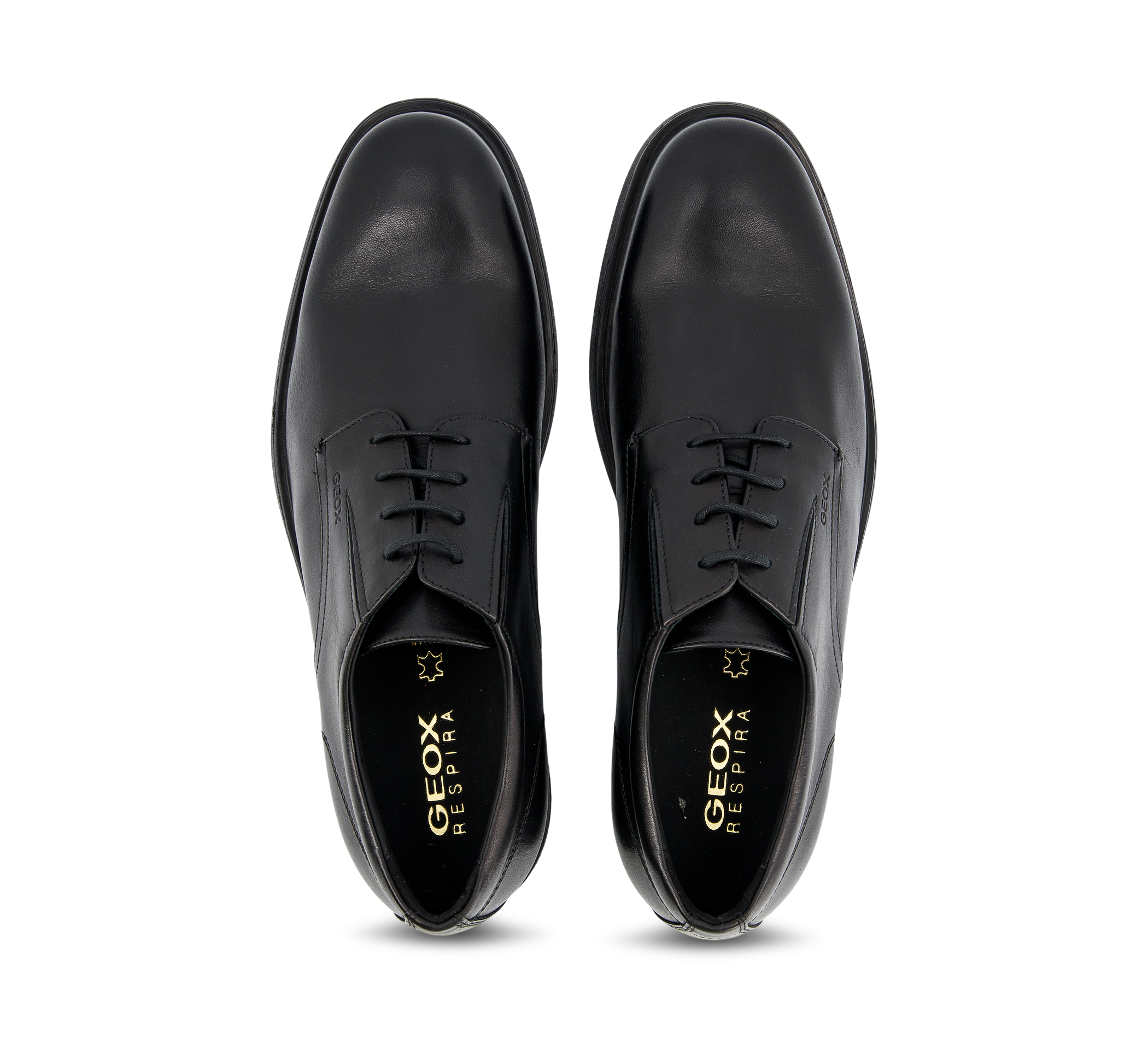Geox Dublin - Business-Schuhe