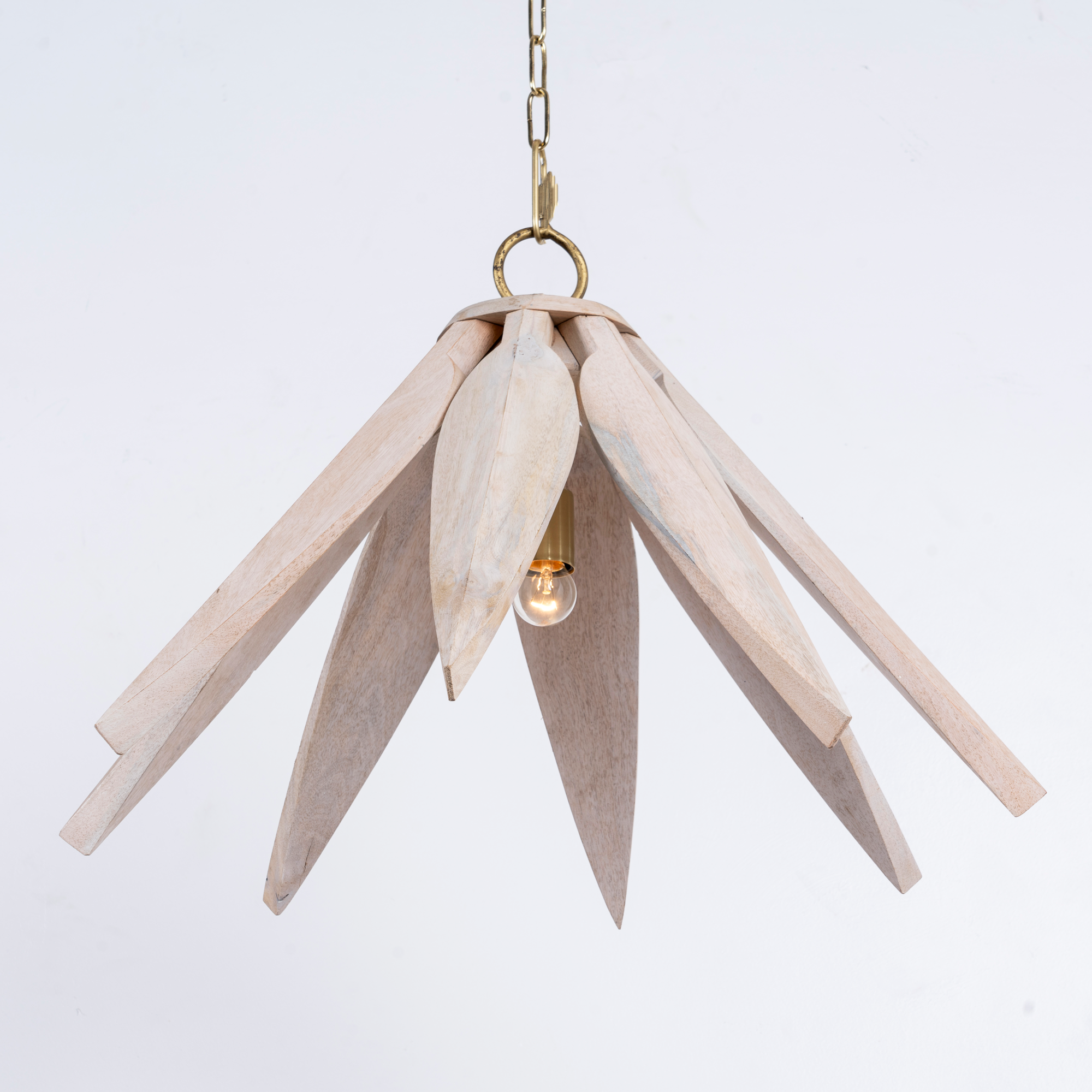 Hanglamp Bharani #1