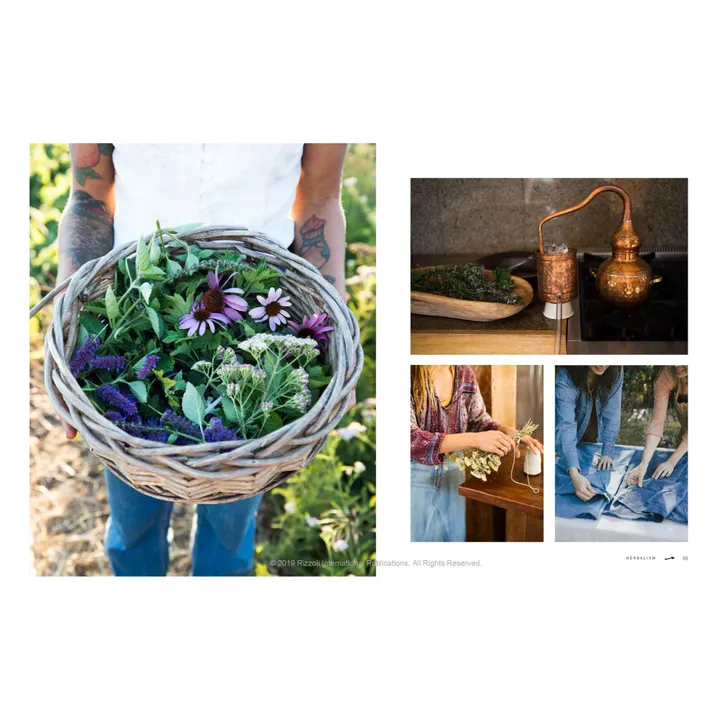 Rizzoli The women's heritage sourcebook : bringing homesteading to everyday life