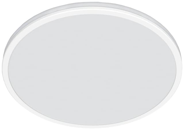 Philips Ozziet loftslampe 22W (hvid)