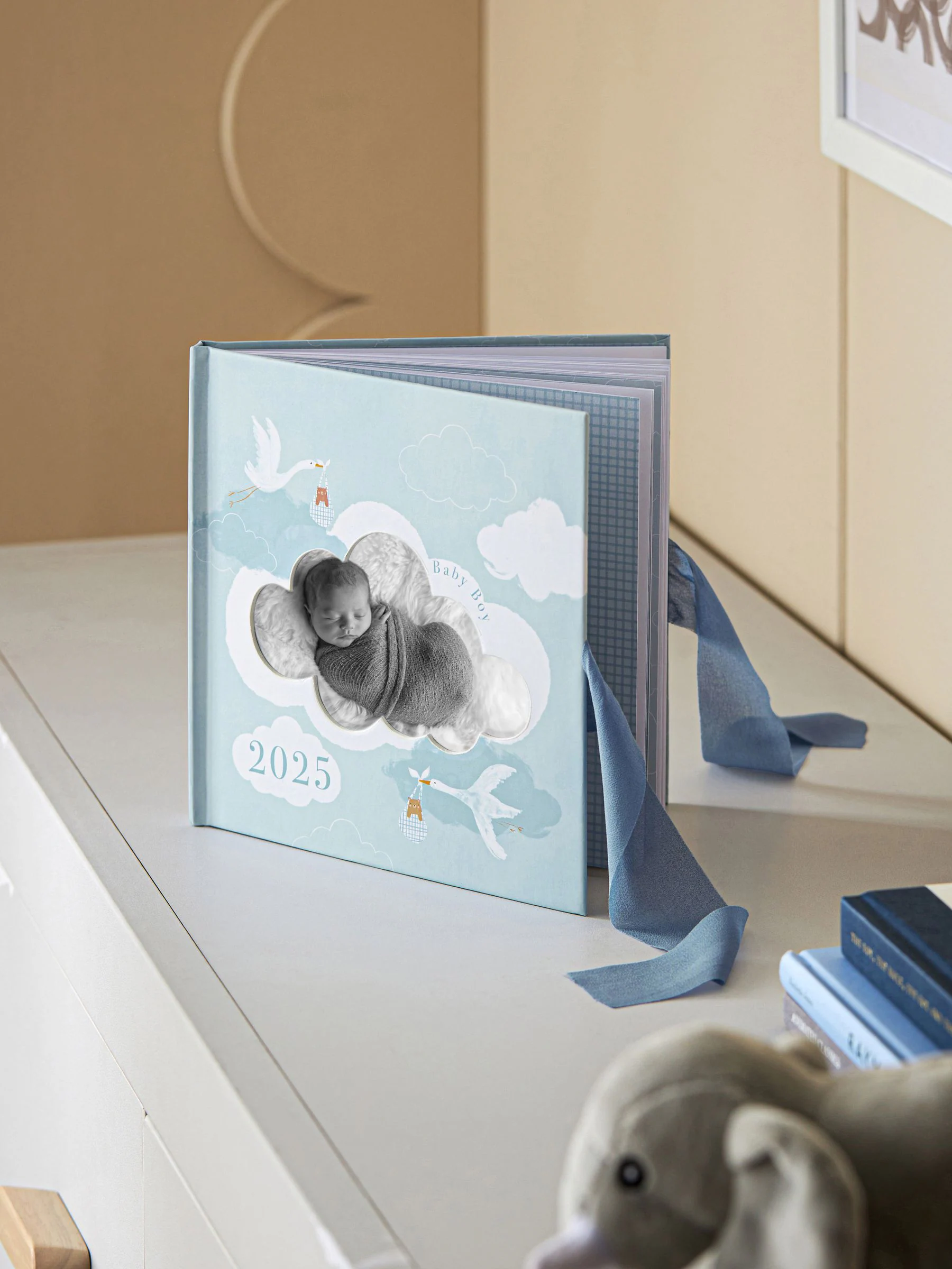 Baby Born In 2025 recordboek voor jongens