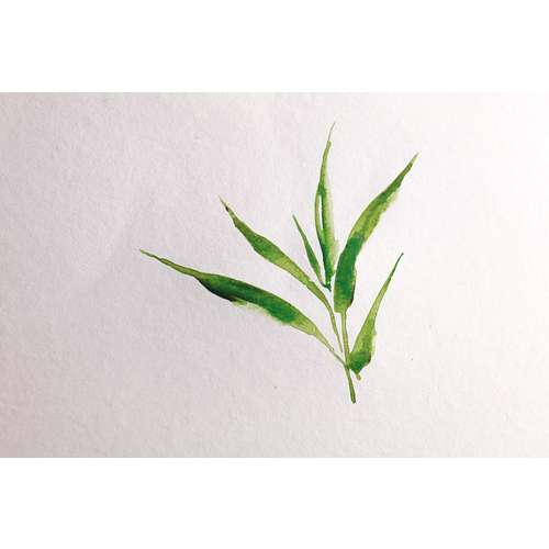 Clairefontaine BAMBOO Aquarellpapier