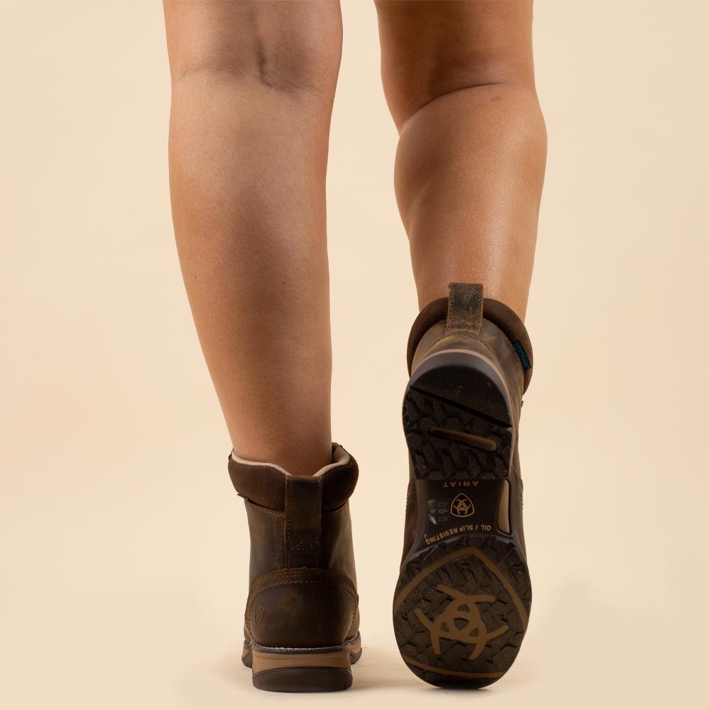 Ariat Anthem Lacer bruin