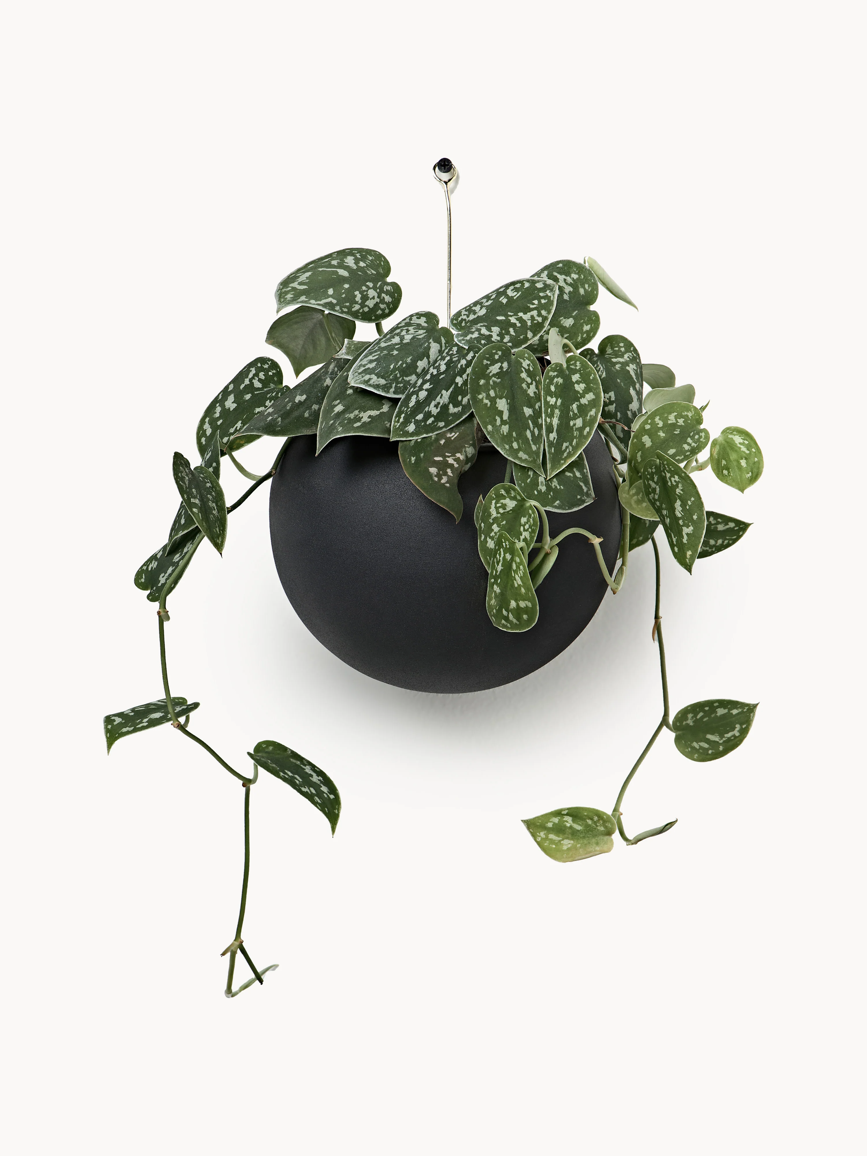 Metalen plantenpot Globe om op te hangen