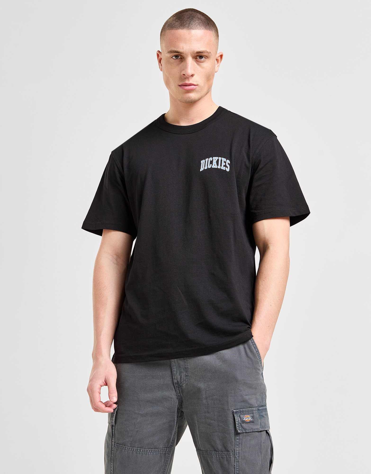Dickies T-shirt Aitkin Chest Homme