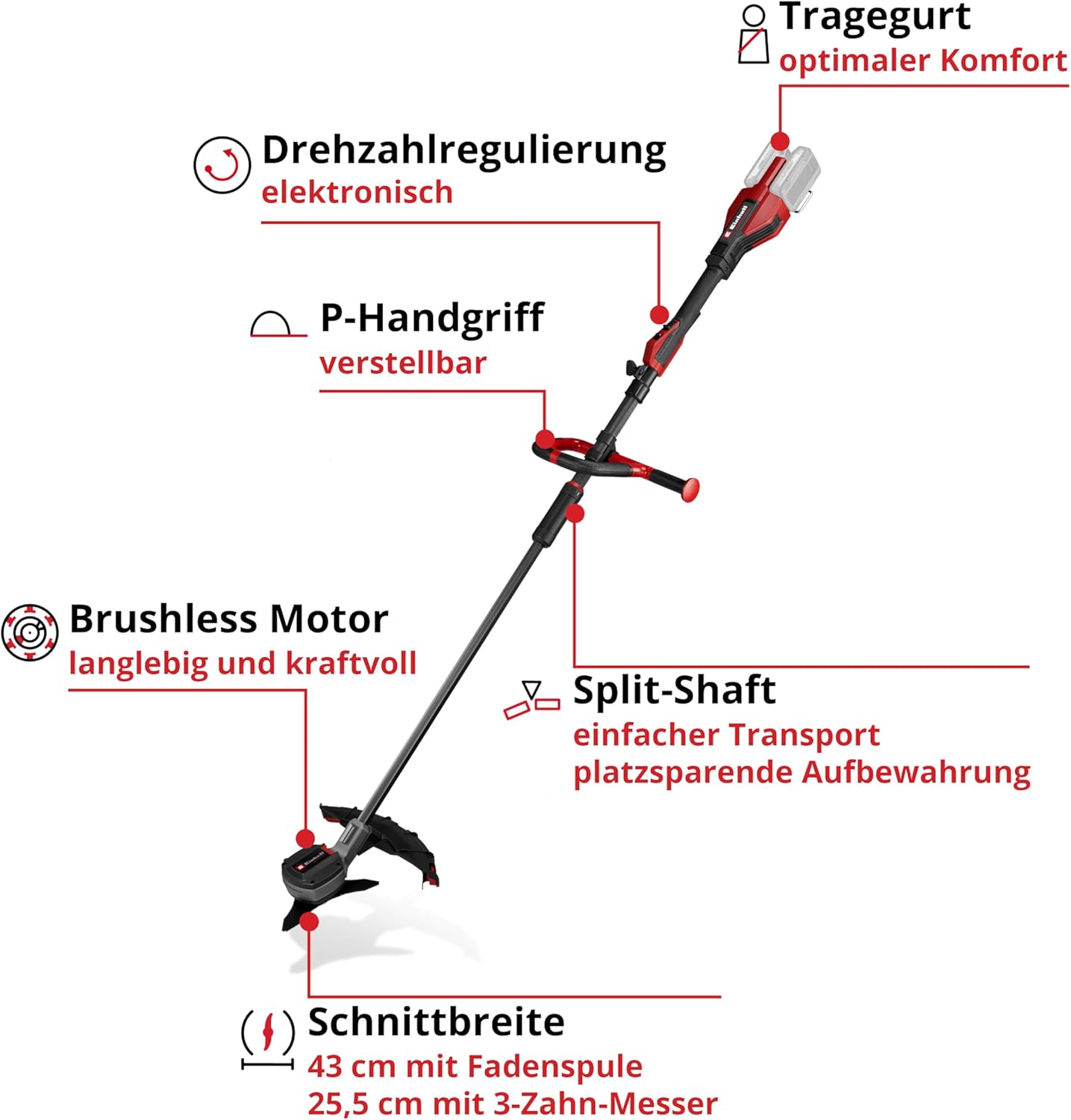 Einhell Professional Akku-Sense GP-BC 36/430 Li P BL - Solo Power X-Change (36 V, Brushless, 43 cm Schnittbreite, P-Handgriff, Doppelfaden, 3-Zahn-Messer, ohne Akku)