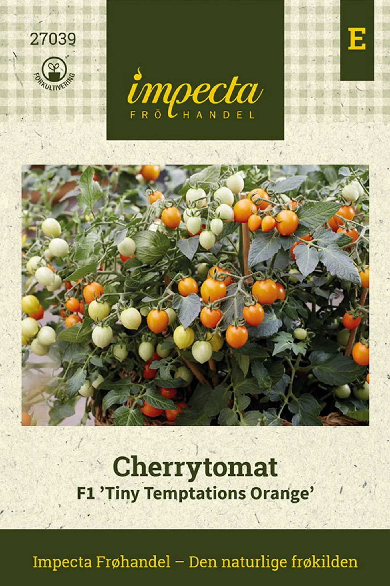 Solanum lycopersicum F1 'Tiny Temptations Orange' Cherrytomat F1 'Tiny Temptations Orange'