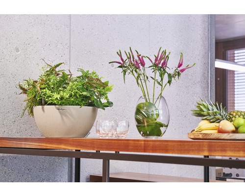 Cubeto Stone kunststof bloempot, 30x30x13 cm, zandbeige, inclusief zelfbewateringssysteem en waterniveau-indicator