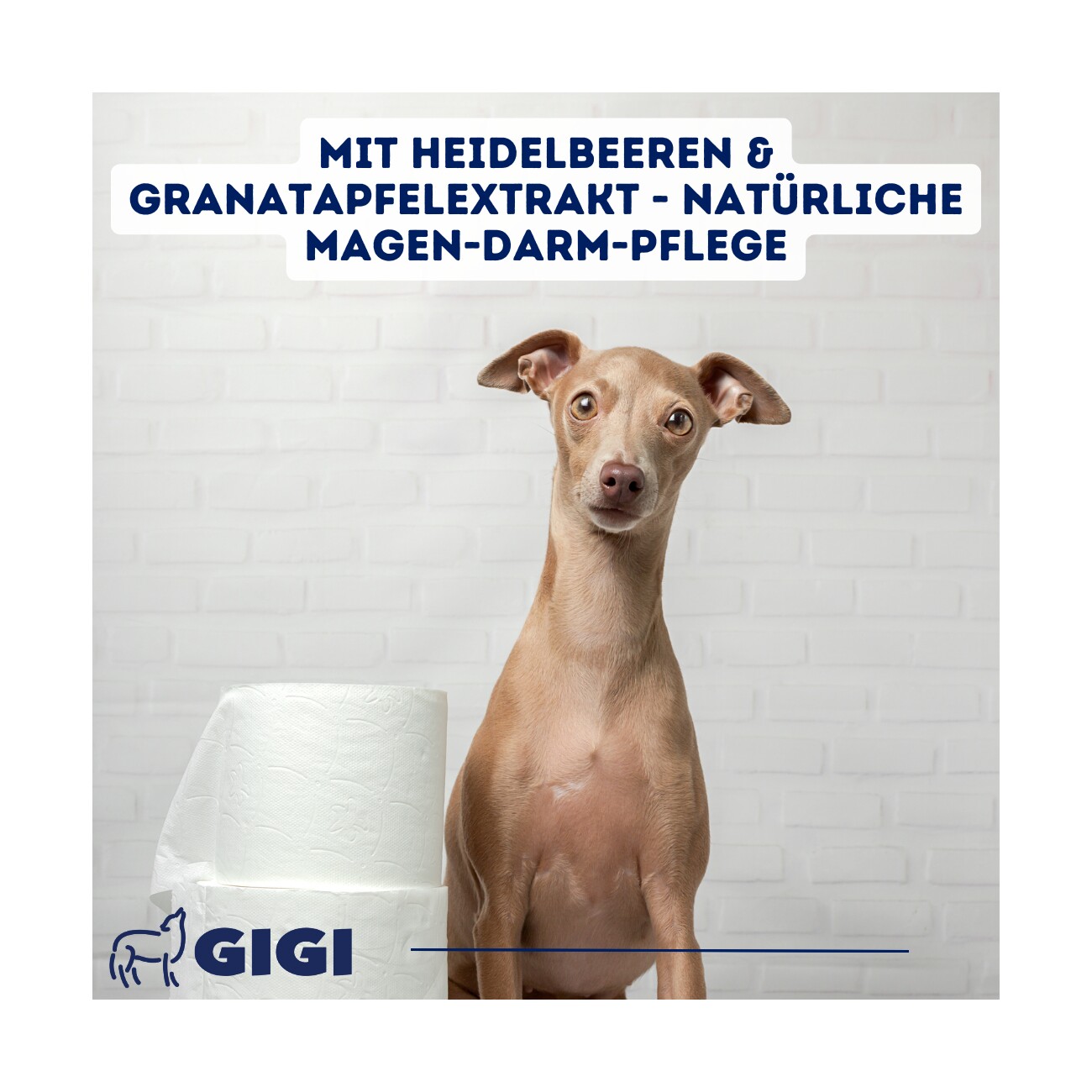 GIGI VET Magen & Darm Komfort Für große Hunde 30 Stück