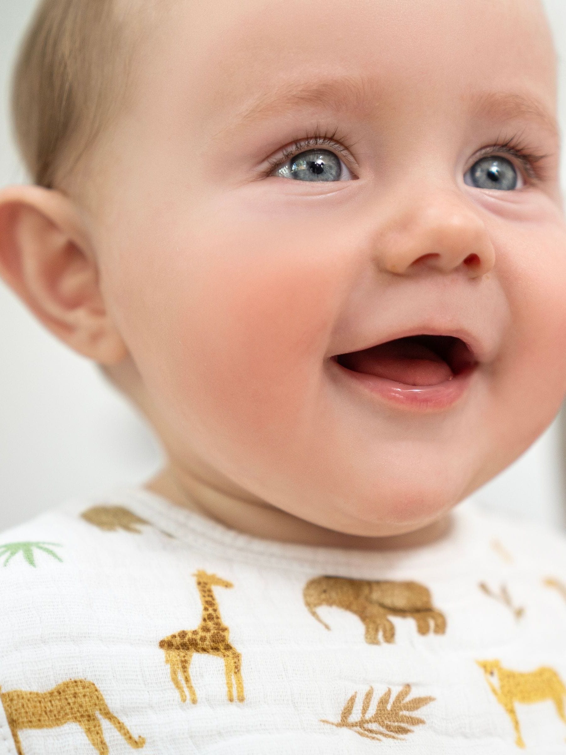 aden + anais Essentials 100% katoenen mousseline Snap Tanzania, verpakking met 3 slabbetjes