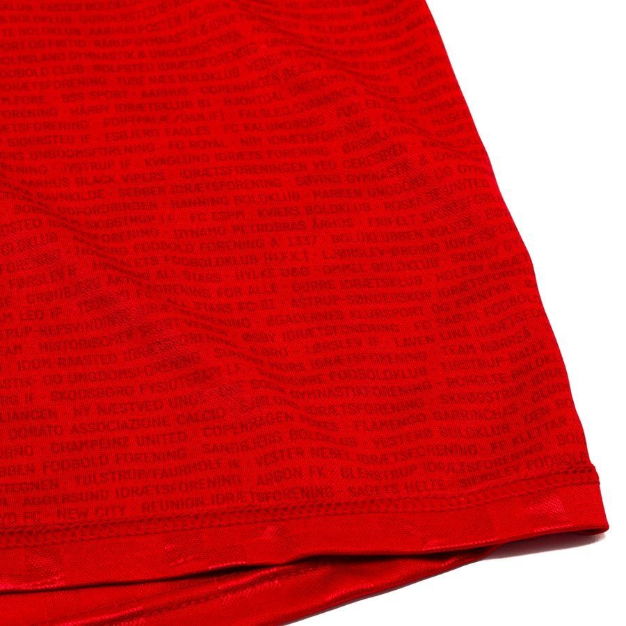 Danemark Maillot Domicile 2024/25