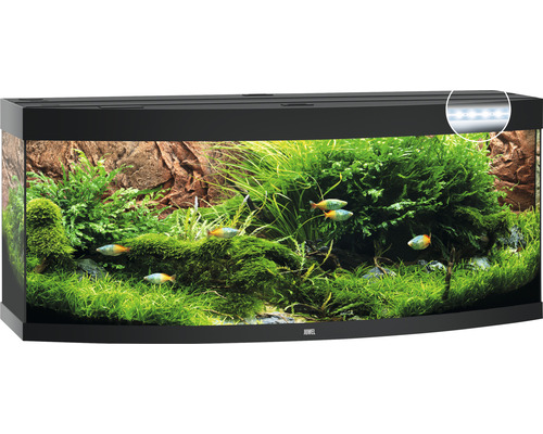 JUWEL Vision 450 aquarium inclusief LED-verlichting, verwarming, filter, zonder kast, zwart