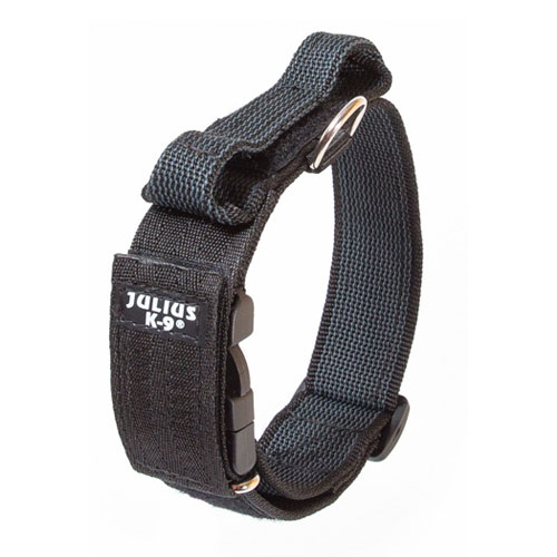 Coleira preta Julius K9 com fecho duplo para cães
