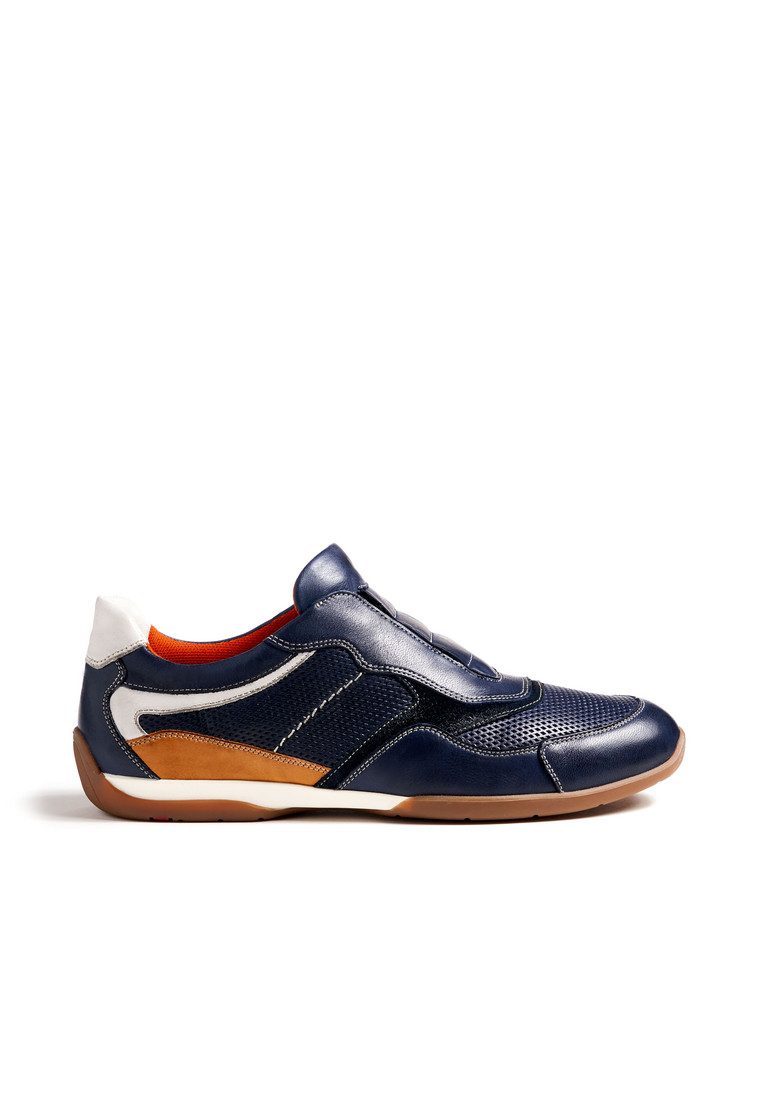 BANFIELD Blau