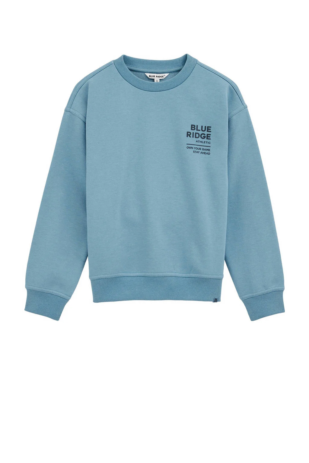 WE Fashion Blue Ridge sweater blauw