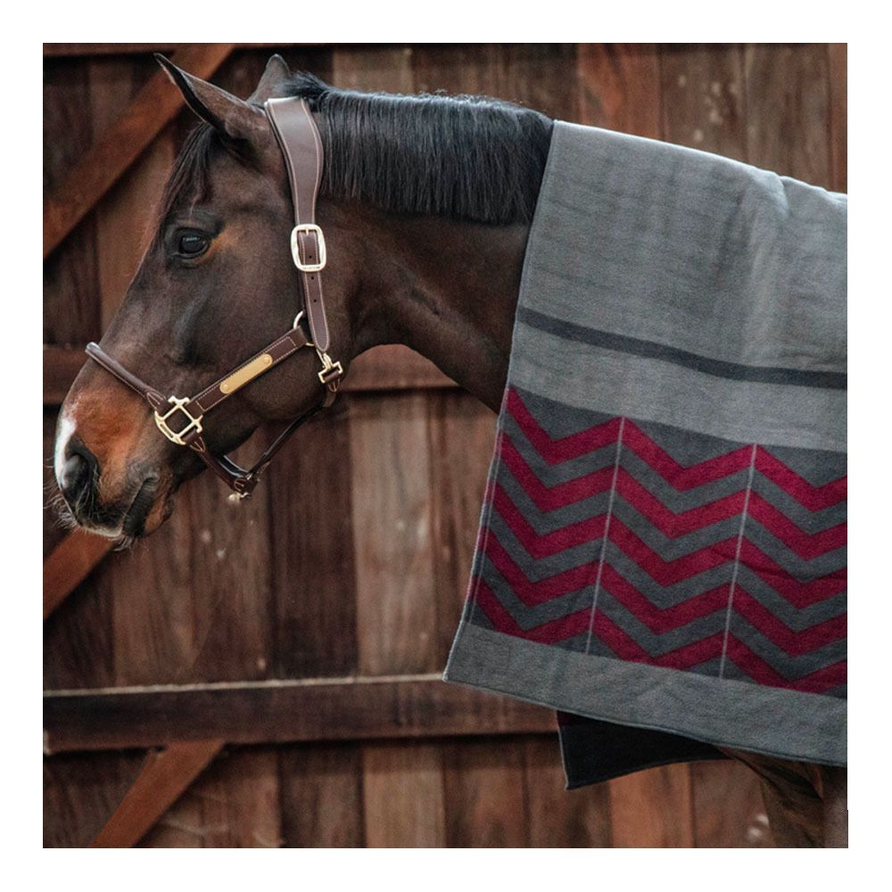 Kentucky HEAVY FLEECE 140X120 - Chemise séchante grey/bordeaux