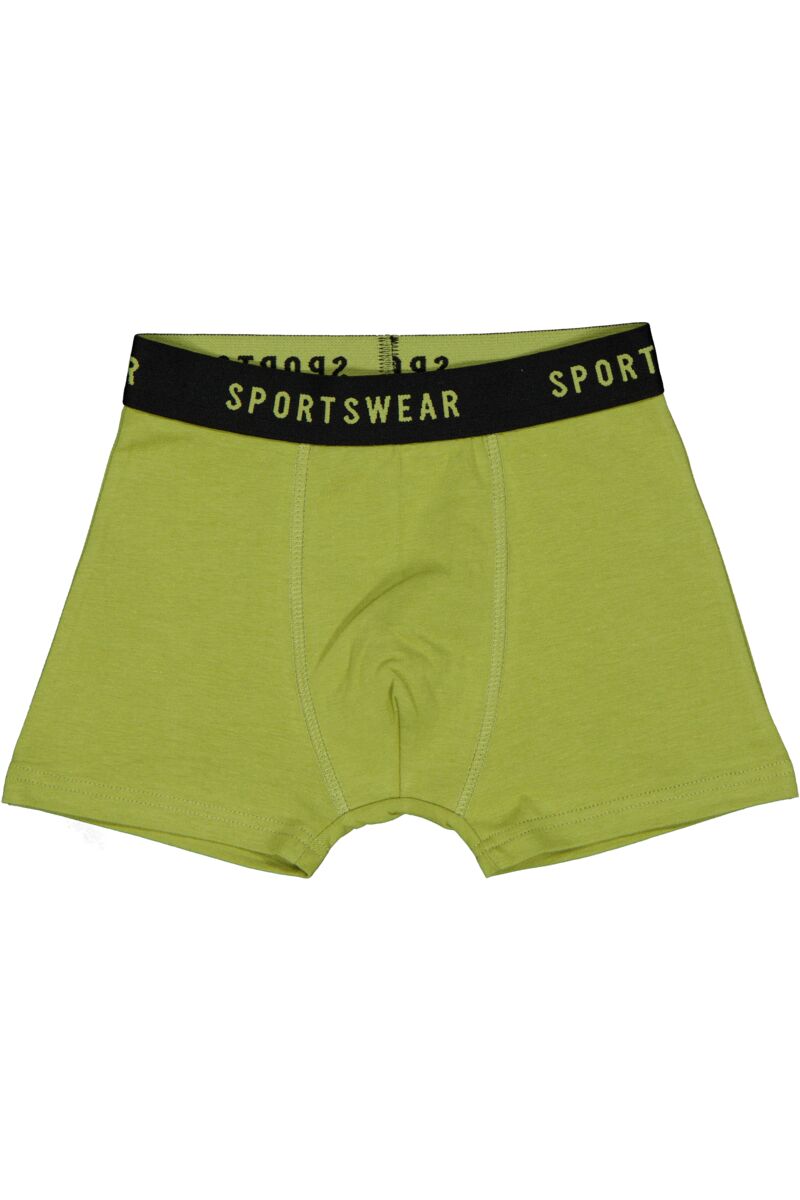 Boxer - Groen