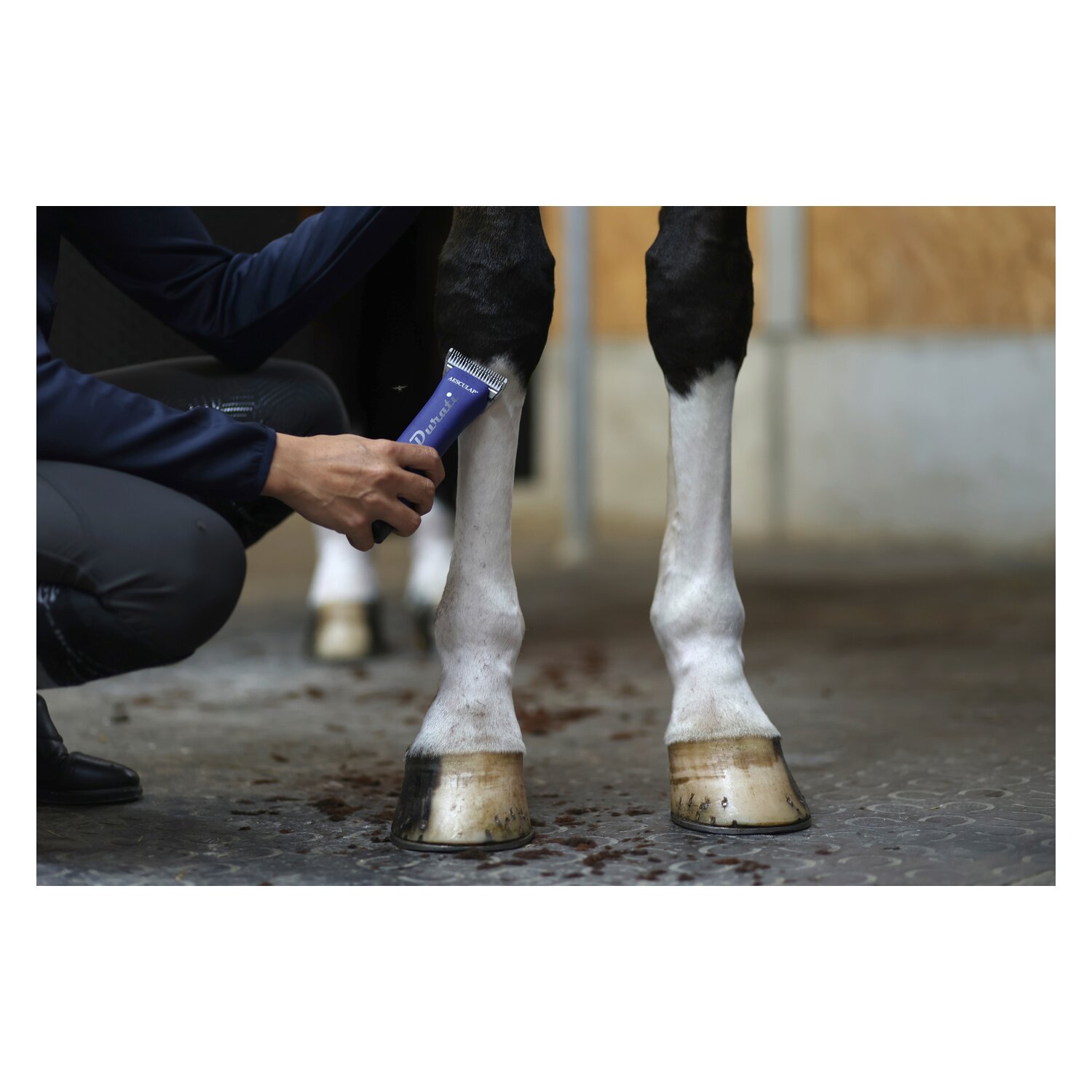 AESCULAP Akku-Schermaschine Durati Horse  - blau