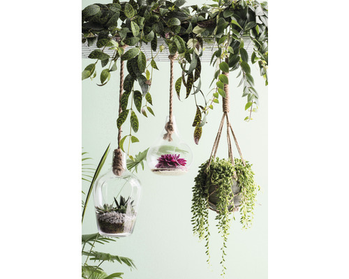 Kunstplant Paarse Pothos Syngnoium H 15 cm