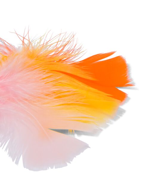100 plumes