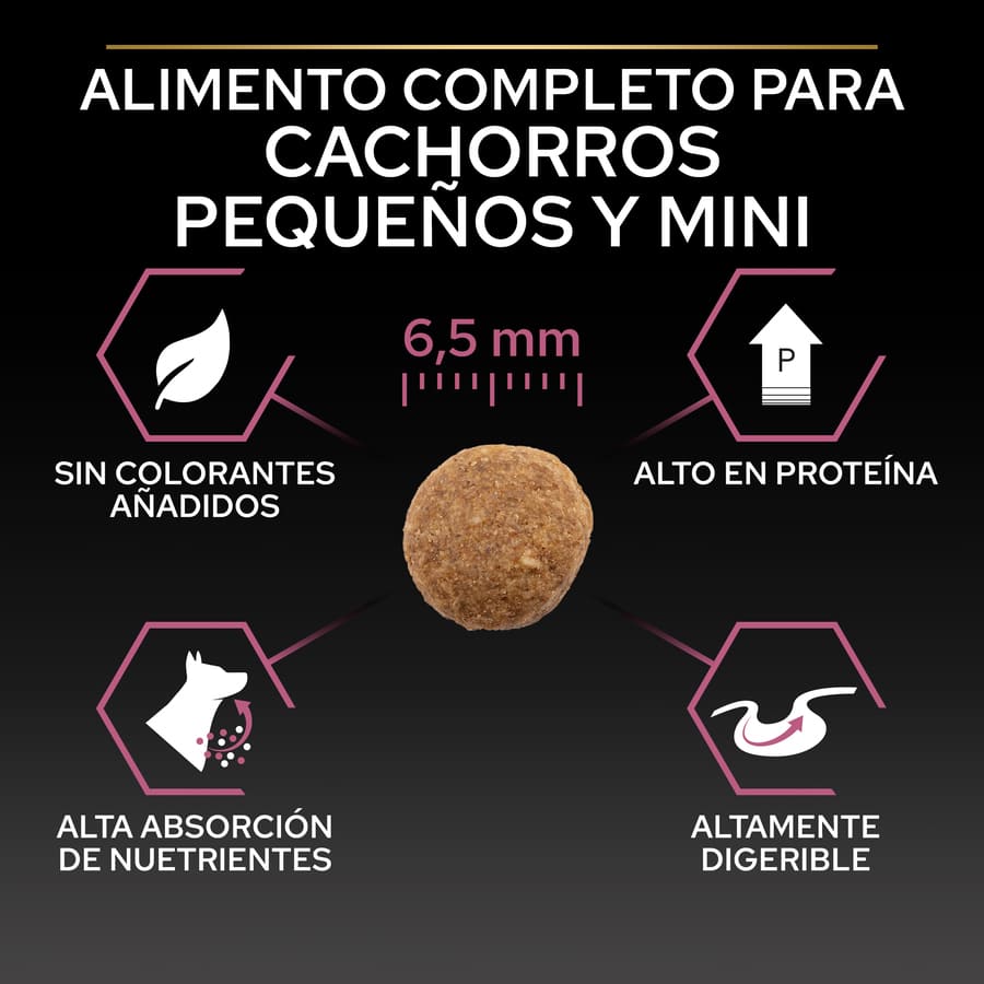 Pro Plan Puppy Small and Mini Salmon Dog Food Skin