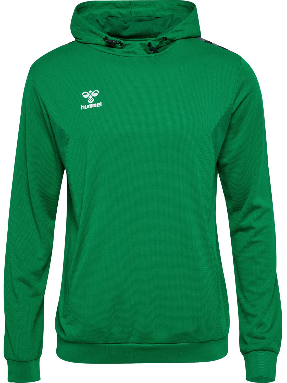 hmlAUTHENTIC PL HOODIE