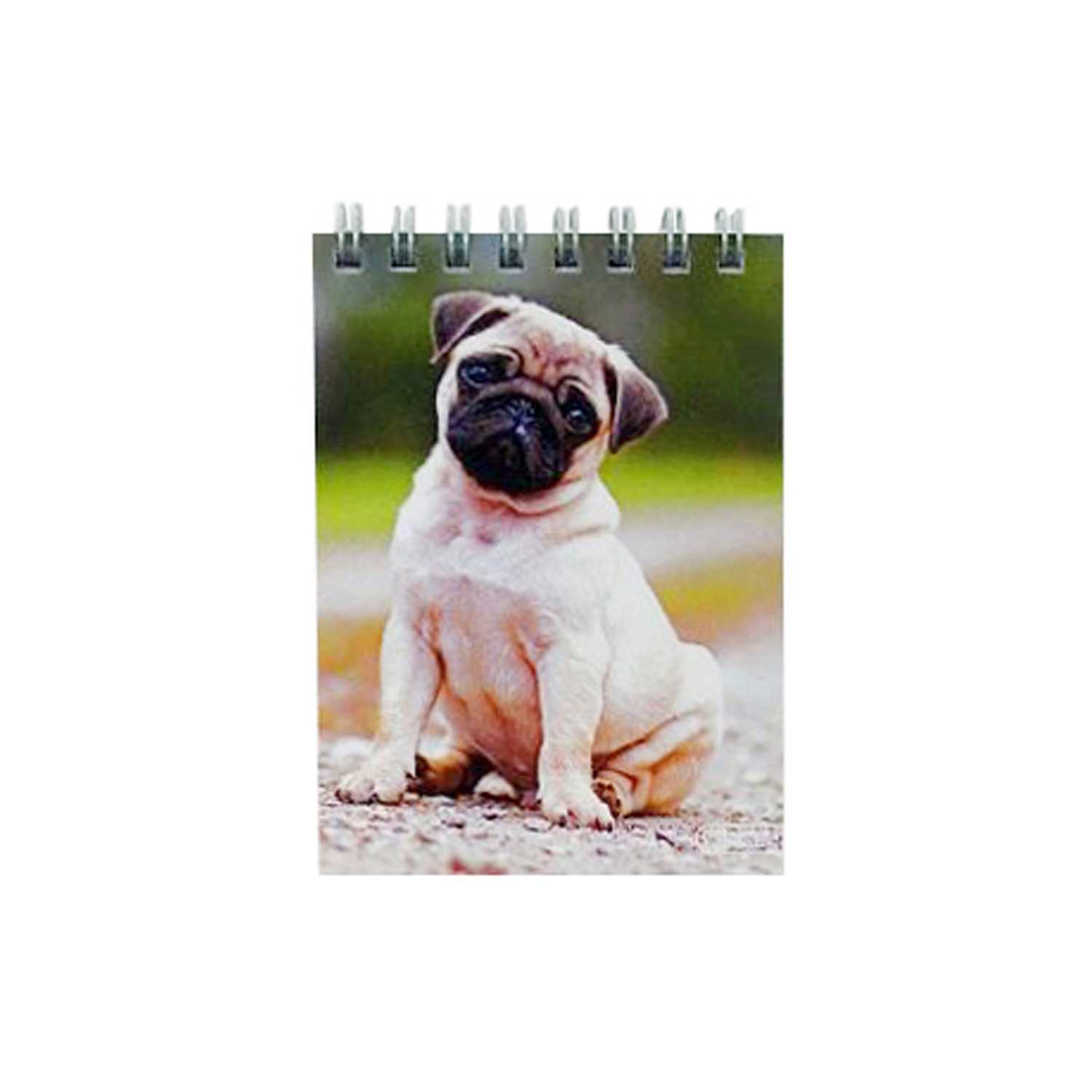 Softcover-Notizbuch DIN A7 kariert 8fach