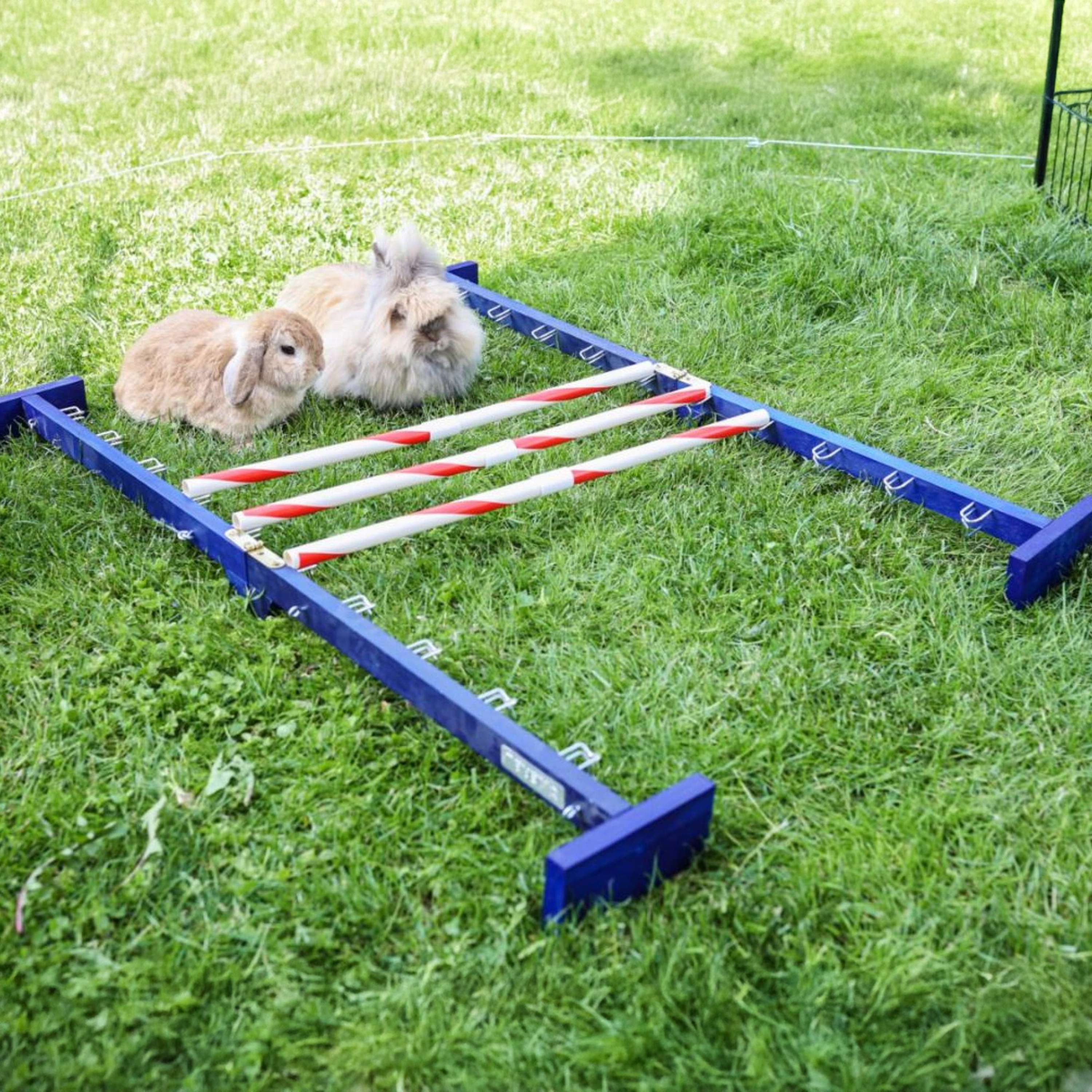 Kerbl Konijnenhindernis Agility 2