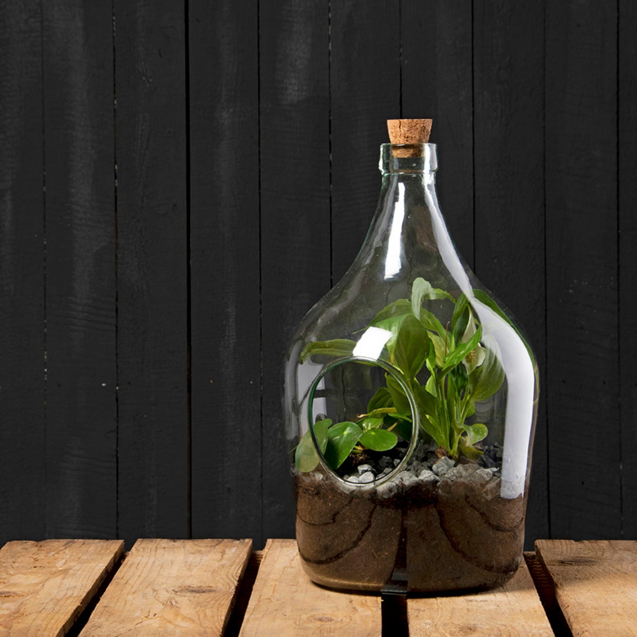 Esschert Design plant terrarium set 3 L