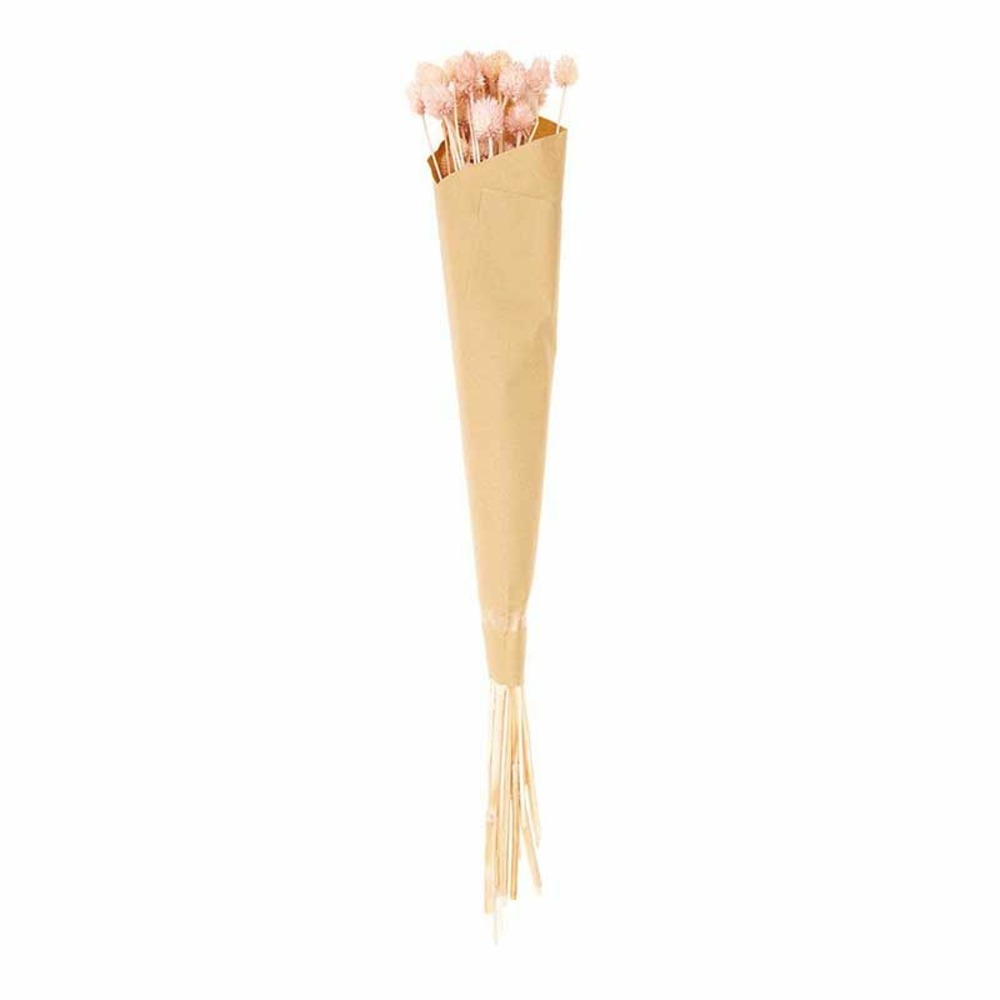 Cardères japonais séchés rose - 70 cm