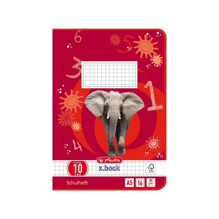 Herlitz x.book Schulheft A5, kariert, Lineatur 10, 16 Blatt, FSC Mix