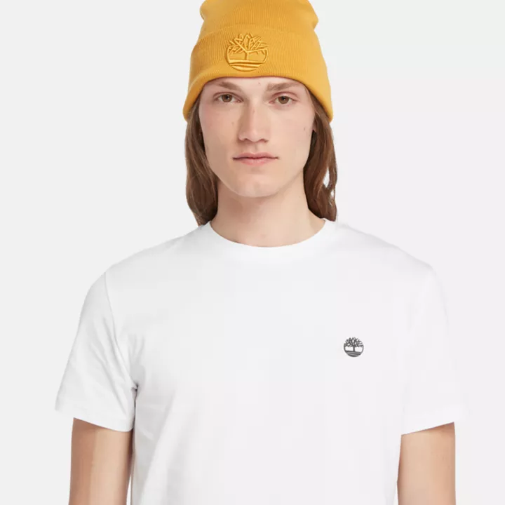 Lot de 3 t-shirts à col rond basiques en jersey pour homme en multicolore