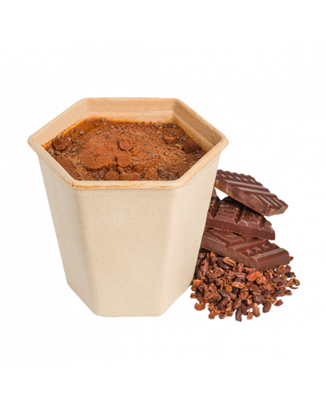 Sorbet Chocolat Madagascar & Morceaux Concassés Grand Format | La Glace Alain Ducasse 500 ml