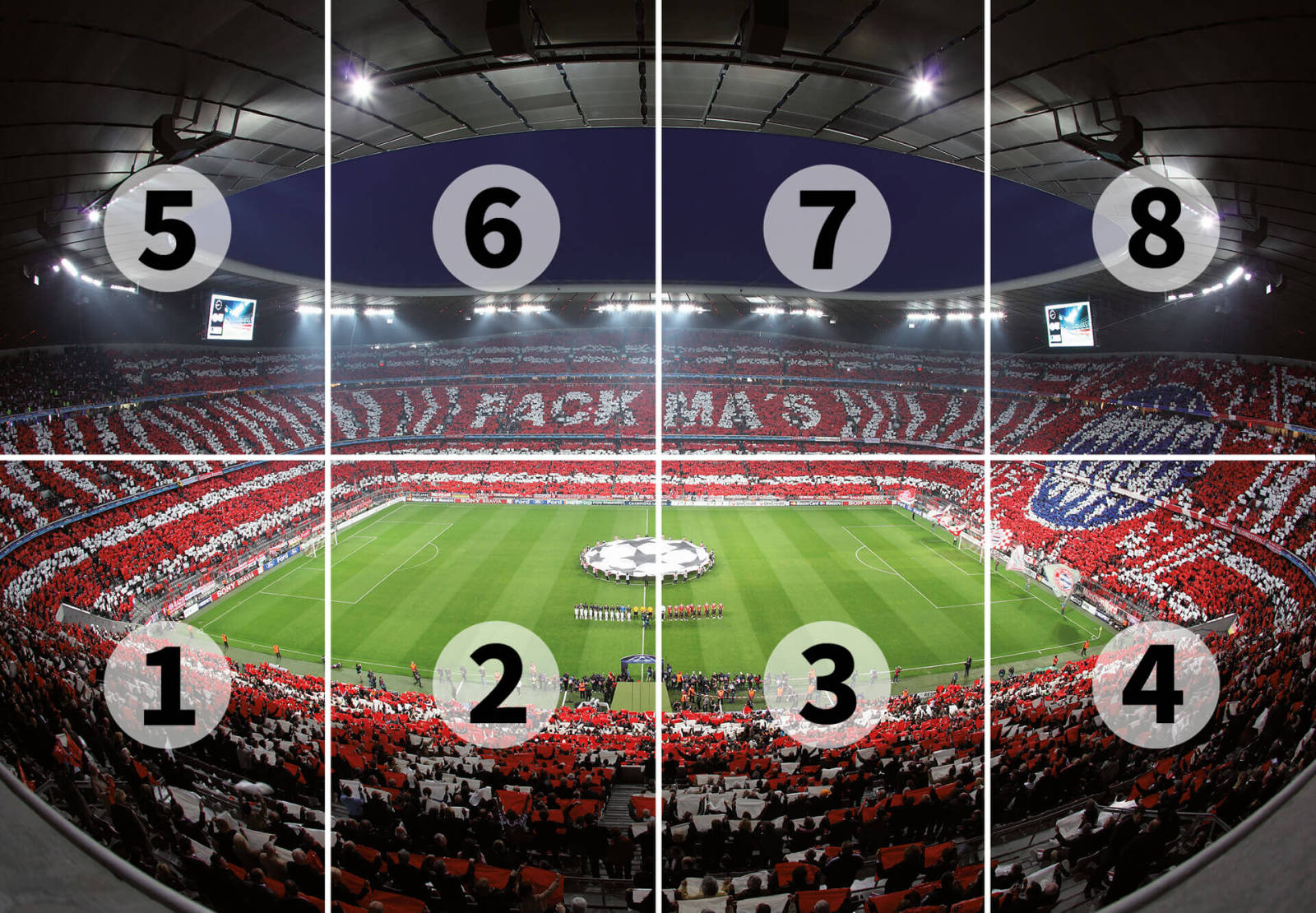 Fototapete DESIGNWALLS 2.0 - rot-grün - FCB Stadion - 2,5 Meter