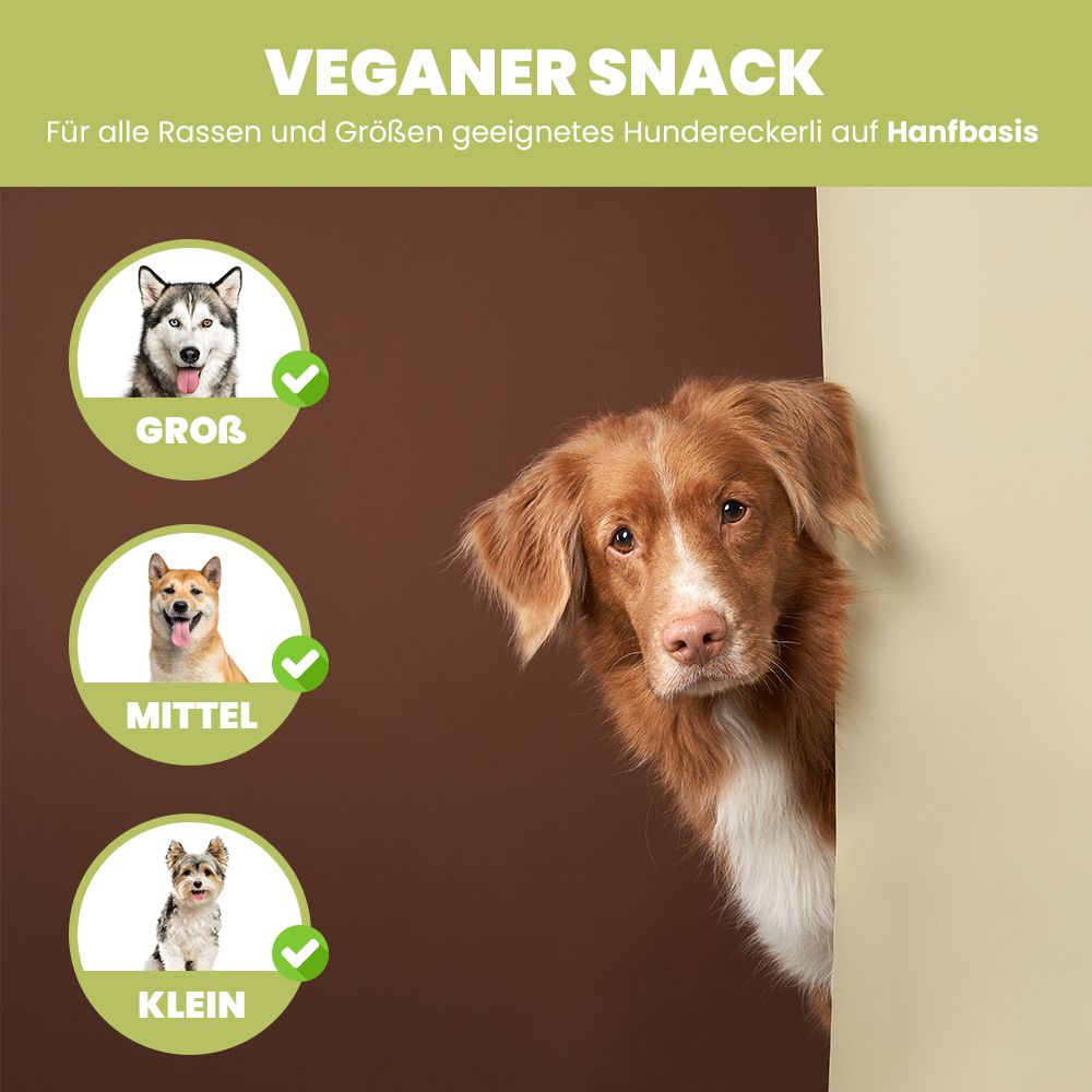 SANUUS Vegane & getreidefreie Hundeleckerli Bio Hundesnacks aus Hanfpellets 500g