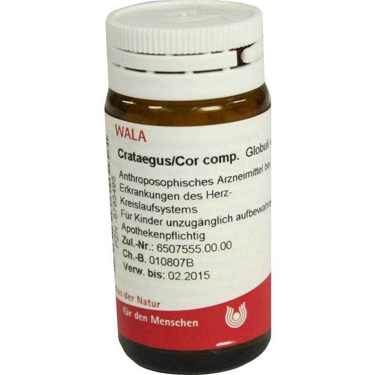Arnica E Planta tota D 2 Globuli, 20 g