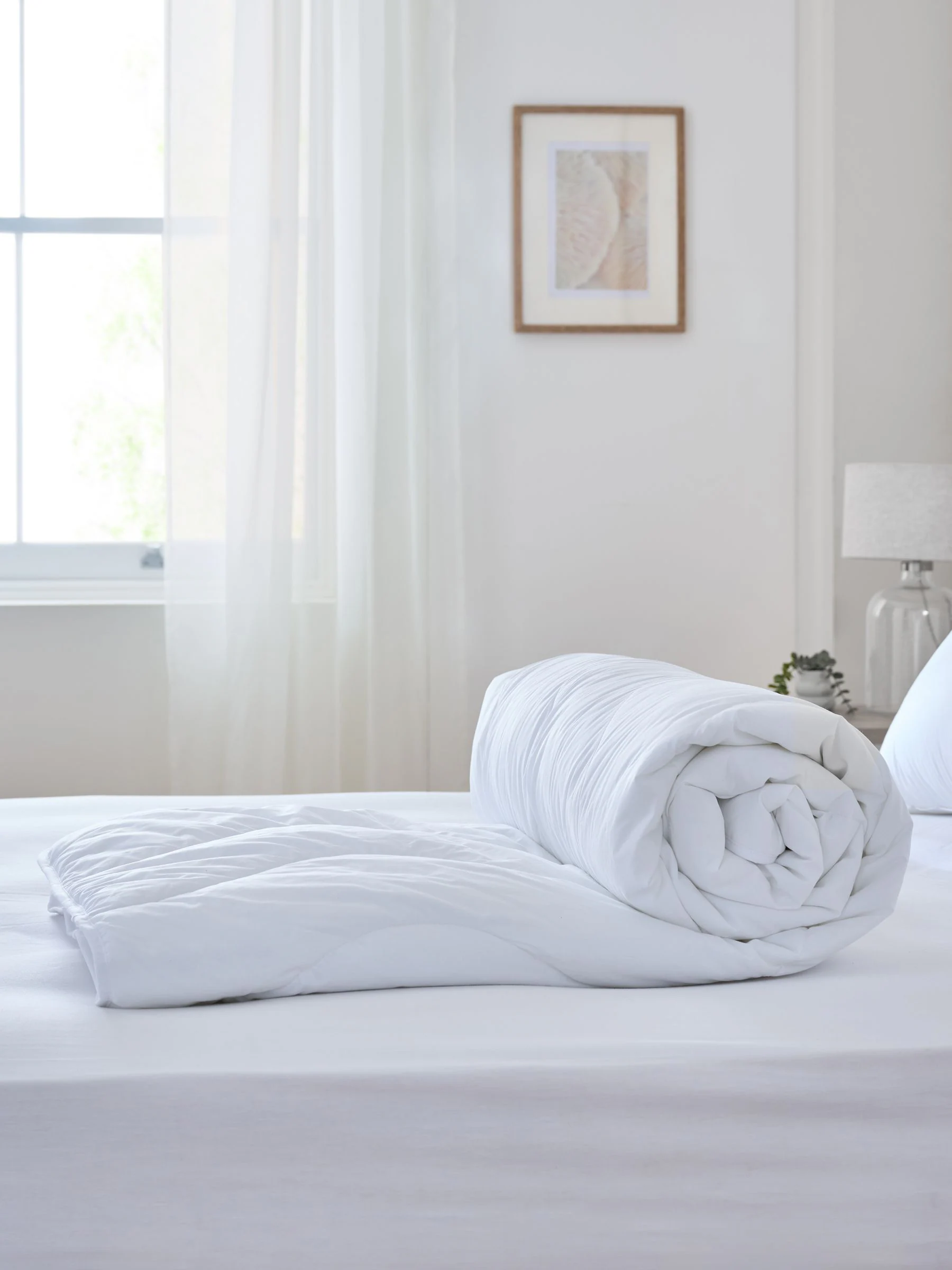 Fresh 100% Cotton Duvet
