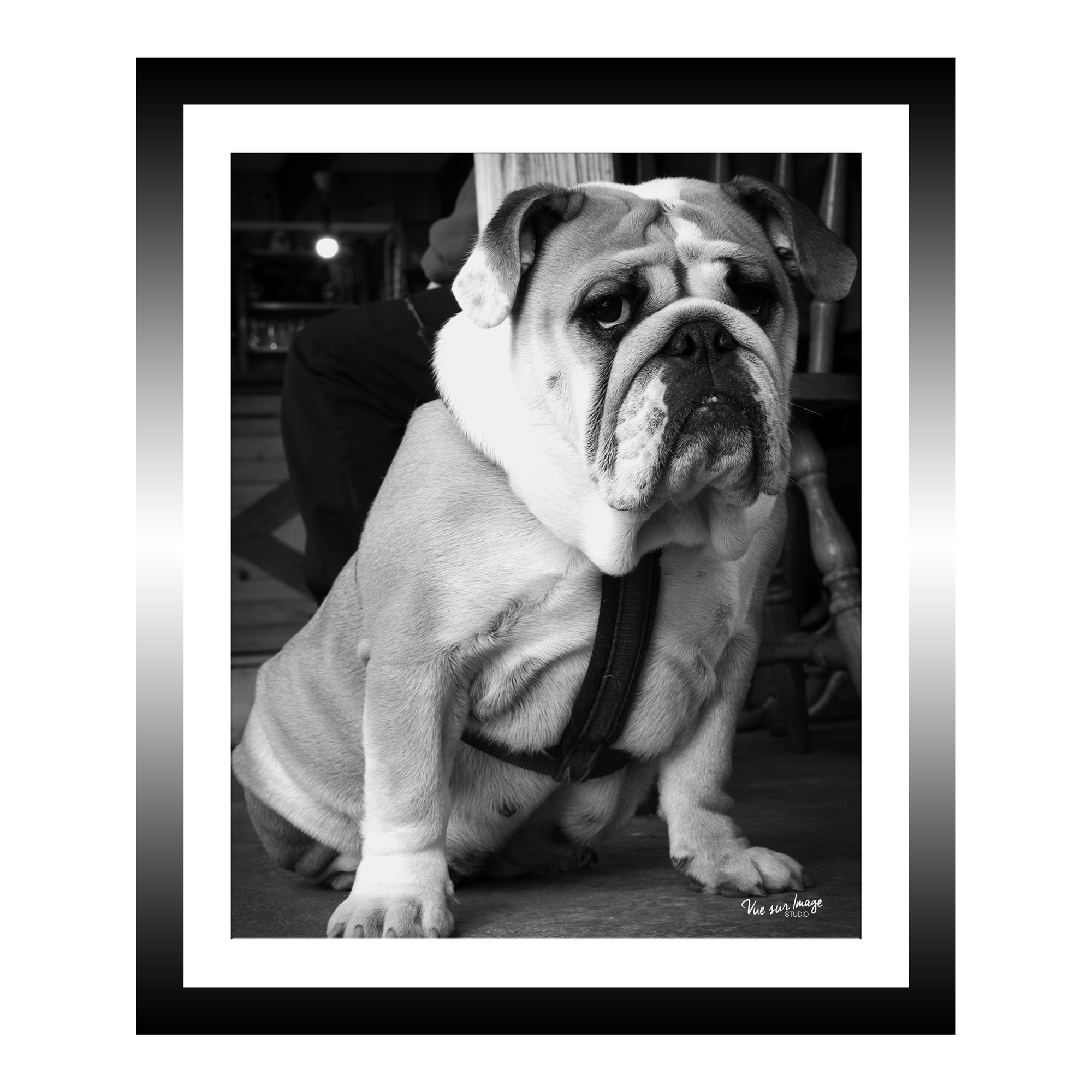 TABLEAU 25X30CM BAGUETTE NOIRE BULLDOG