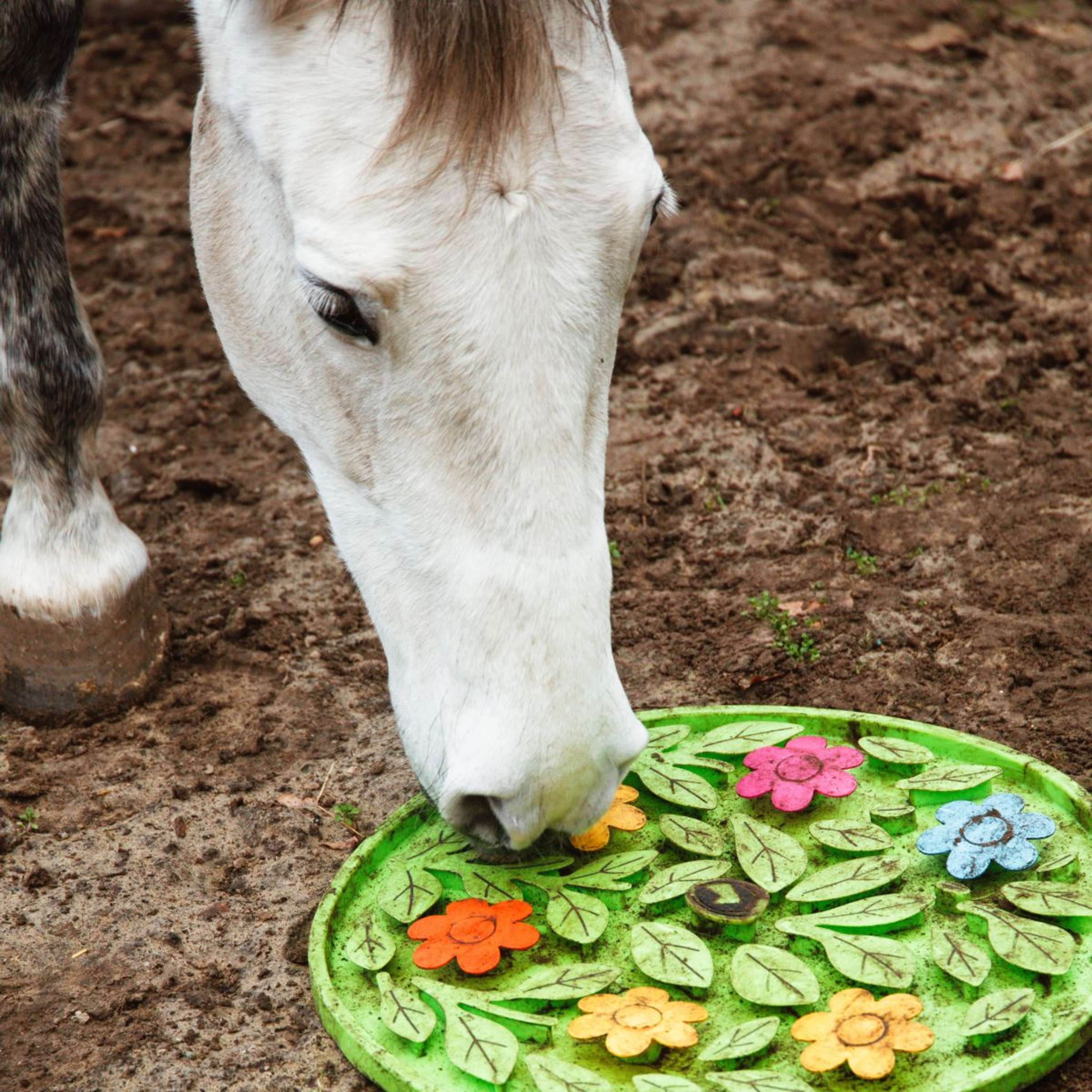 Excellent Snuffelmat Horse Flower Power