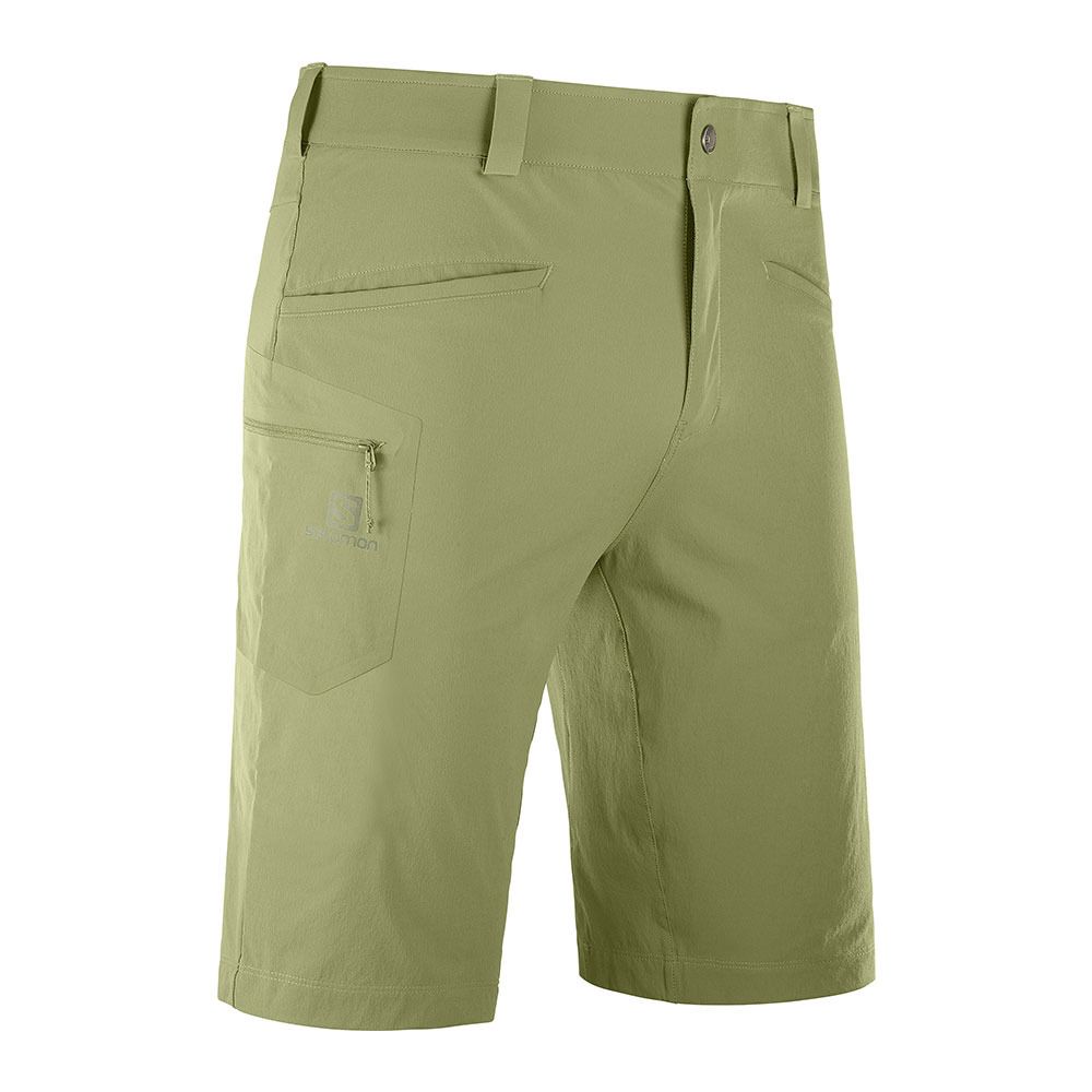 Salomon WAYFARER - Short Homme martini olive